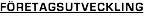 FÖRETAGSUTVECKLING