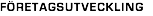 FÖRETAGSUTVECKLING