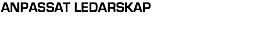 ANPASSAT LEDARSKAP